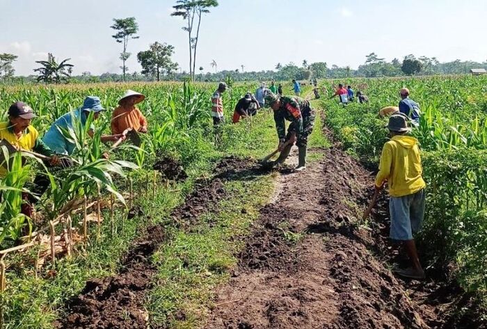 7 Manfaat Pelatihan Pengurus BUMDes bagi Masyarakat